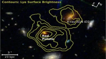 مجرة البطاطس الحمراء.. تلسكوب جيمس ويب يرصد ظاهرة كونية غامضة حيرت العلماء